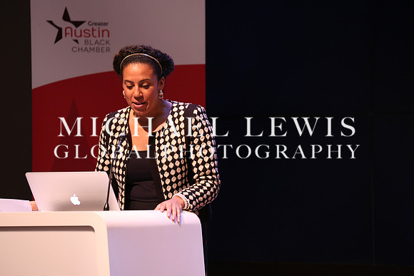 Black Elected Officials 2015 (13)
