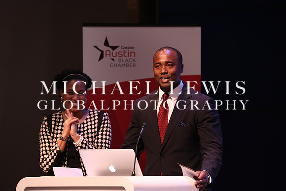 Black Elected Officials 2015 (12)