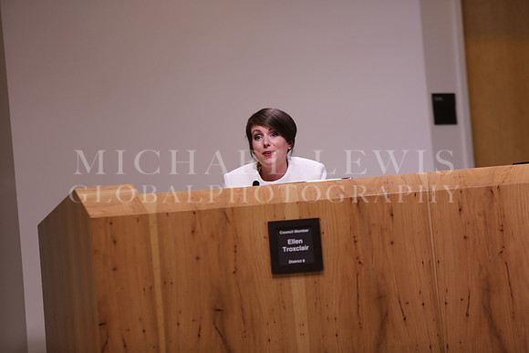 Austin City Council 2015 B (1)