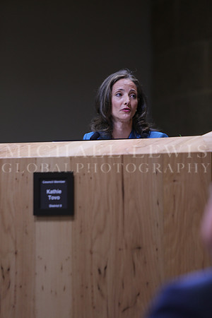 Austin City Council 2015 B (5)