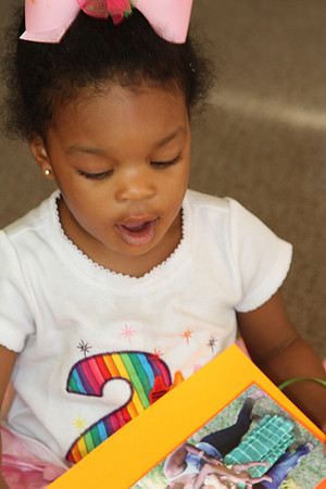 Araiya's 2nd Birthday