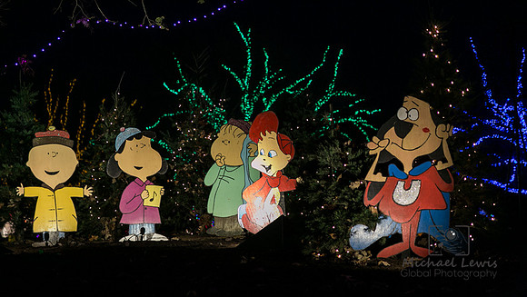 Austin_TrailofLights_2022 (5)