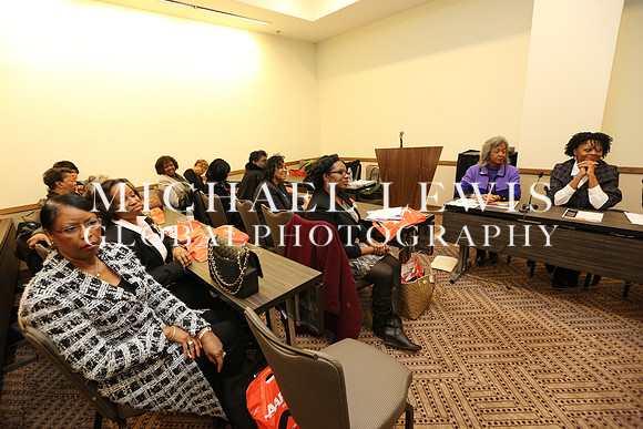 African American Legislative Summit 2015 (100)