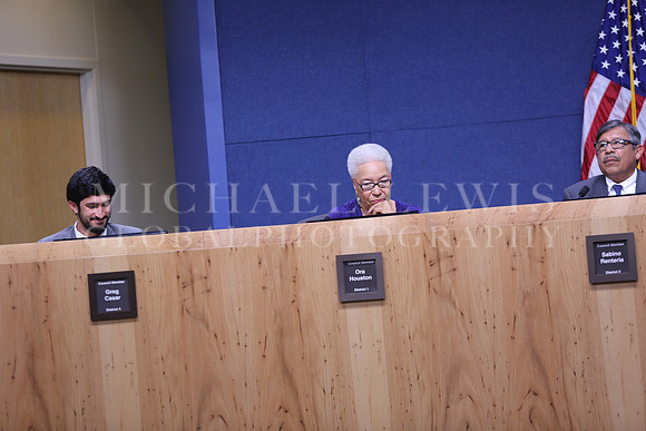Austin City Council  2015 A (91)