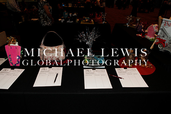 NSHMBA Founders Gala (10)