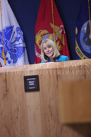 Austin City Council 2015 B (9)