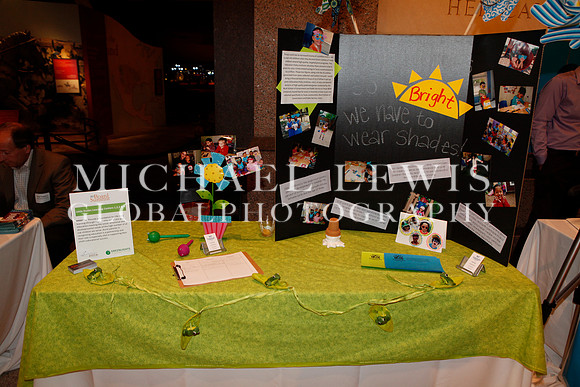 Greenlights Nonprofit Board Summitt