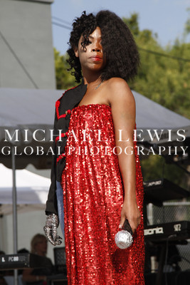 LABORFEST SAN ANTONIO HAIRSHOW 2013