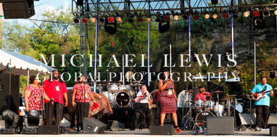 LABORFEST SAN ANTONIO 2013