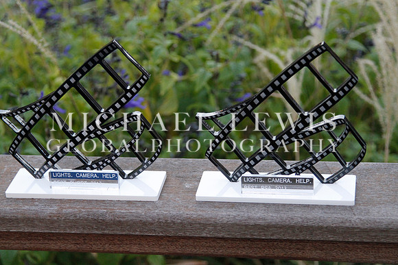 2013 Lights. Camera. Help. Awards Party