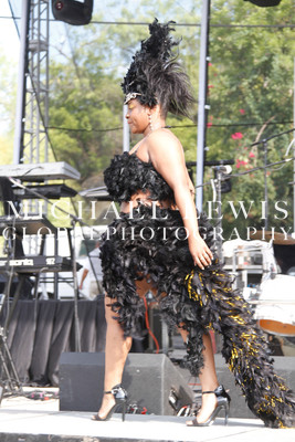 LABORFEST SAN ANTONIO HAIRSHOW 2013
