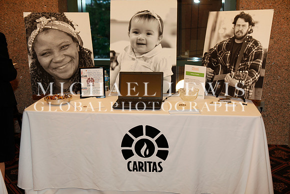 Greenlights Nonprofit Board Summitt
