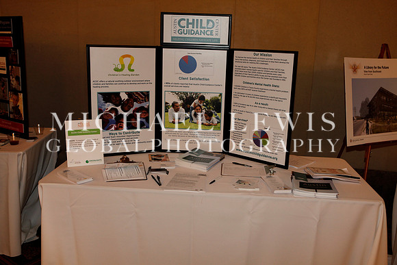 Greenlights Nonprofit Board Summitt