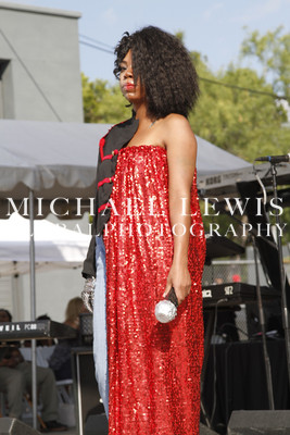 LABORFEST SAN ANTONIO HAIRSHOW 2013