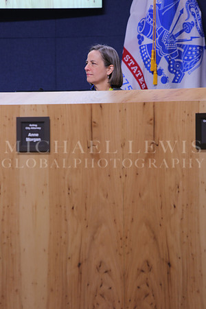 Austin City Council  2015 A (79)