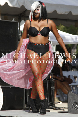 LABORFEST SAN ANTONIO HAIRSHOW 2013