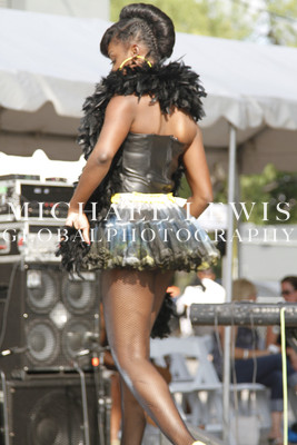 LABORFEST SAN ANTONIO HAIRSHOW 2013