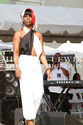 LABORFEST SAN ANTONIO HAIRSHOW 2013