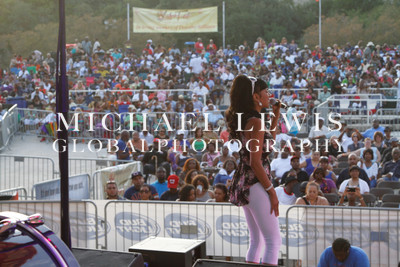 LABORFEST SAN ANTONIO 2013