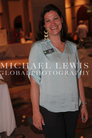 Greenlights Nonprofit Board Summitt
