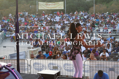 LABORFEST SAN ANTONIO 2013