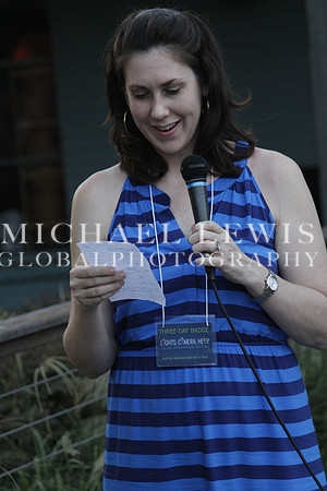 2013 Lights. Camera. Help. Awards Party