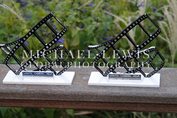 2013 Lights. Camera. Help. Awards Party