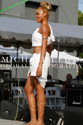 LABORFEST SAN ANTONIO HAIRSHOW 2013