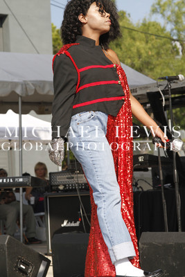 LABORFEST SAN ANTONIO HAIRSHOW 2013