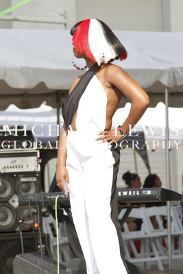 LABORFEST SAN ANTONIO HAIRSHOW 2013