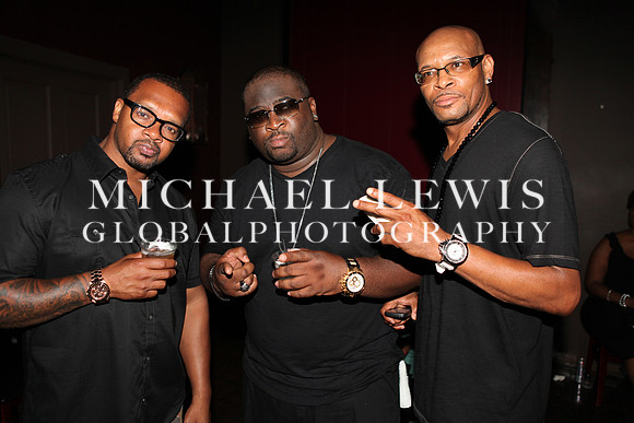 ESSENCE Festival 2013