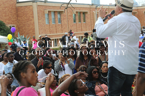 AA Heritage Fest - Howard Hewett (16)