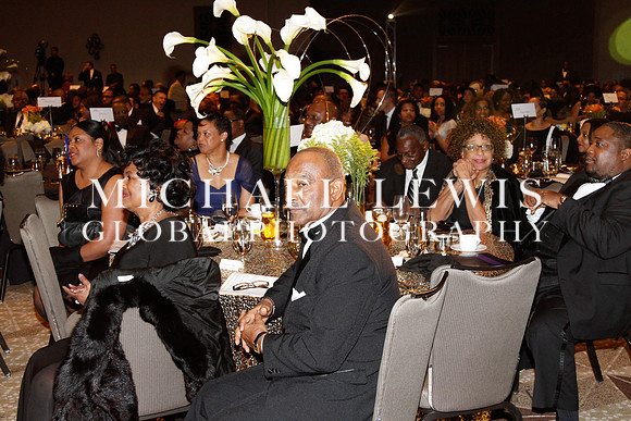 African American Legislative Summit (b) 2015 (38)