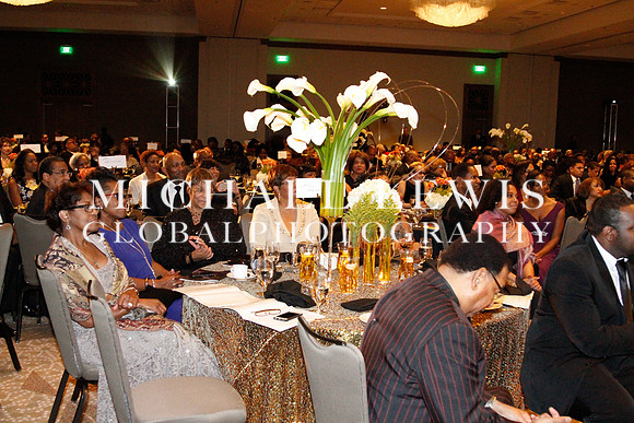 African American Legislative Summit (b) 2015 (28)
