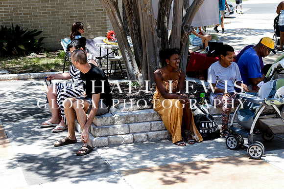 Juneteenth Festival the Austin Carver Museum