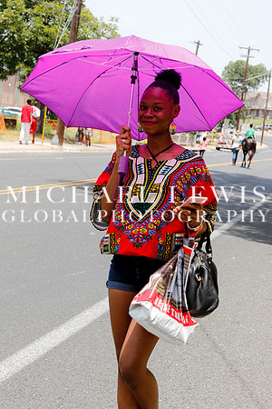 Juneteenth Festival the Austin Carver Museum
