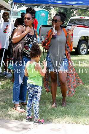 Juneteenth Festival the Austin Carver Museum