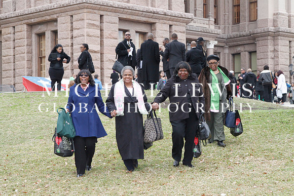 African American Legislative Summit 2015 (a) (13)