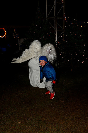 AUSTIN TRAIL OF LIGHTS