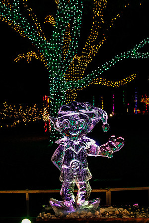 AUSTIN TRAIL OF LIGHTS