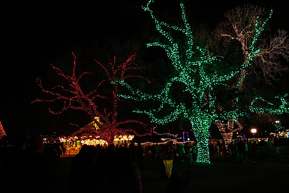 AUSTIN TRAIL OF LIGHTS