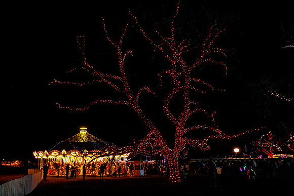AUSTIN TRAIL OF LIGHTS