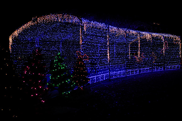 AUSTIN TRAIL OF LIGHTS