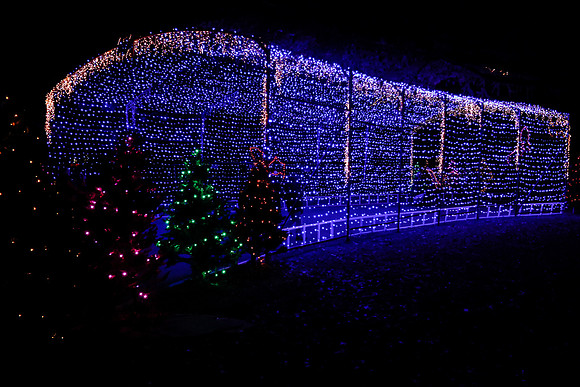 AUSTIN TRAIL OF LIGHTS