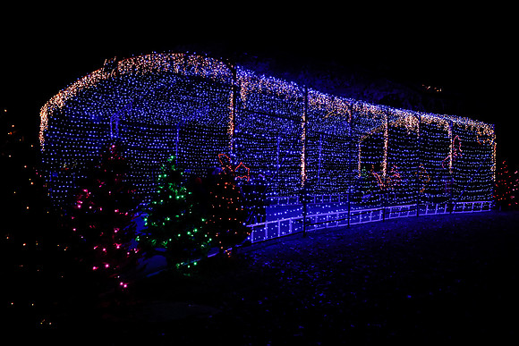 AUSTIN TRAIL OF LIGHTS