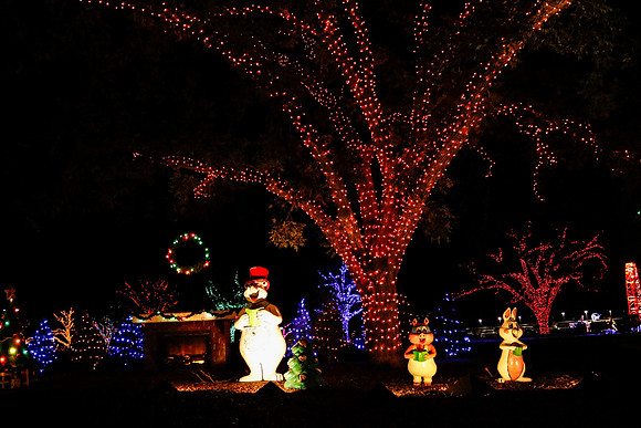 AUSTIN TRAIL OF LIGHTS