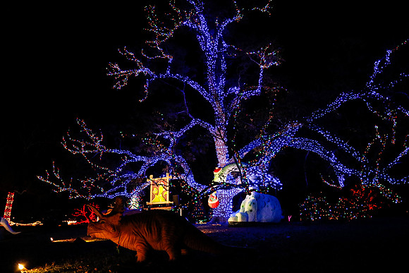 AUSTIN TRAIL OF LIGHTS