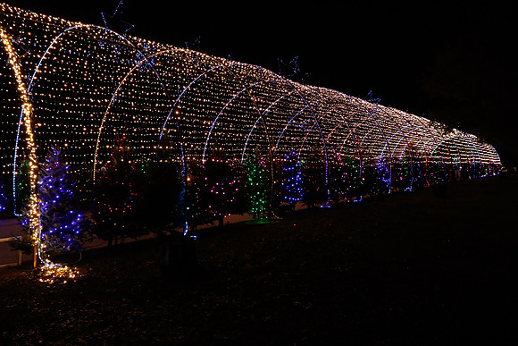 AUSTIN TRAIL OF LIGHTS