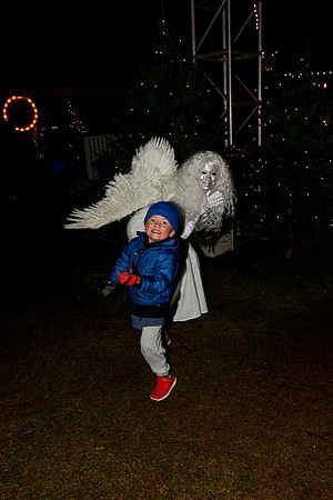 AUSTIN TRAIL OF LIGHTS