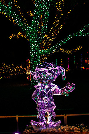 AUSTIN TRAIL OF LIGHTS